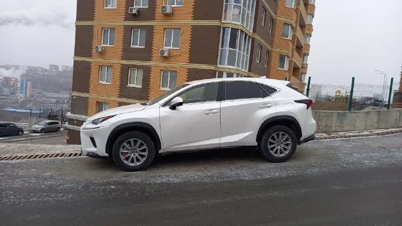 Отзыв 34, доставленный клиенту Asia Trade Car